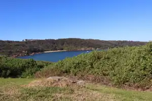 2025-06-22 La Perouse - IMG_2640_compressed_q50.webp